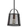Park harbor PHPL5301ORB Buel 9" Wide Single Light Mini Pendant with Rustic Cage Frame DISPLAY MODEL