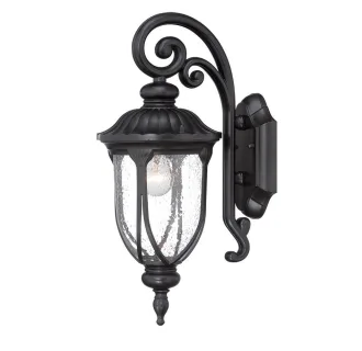 Acclaim Lighting Laurens 1 Light Outdoor Lantern Wall Sconce with Seedy Glass Shade BLACK CORAL