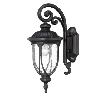 Acclaim Lighting Laurens 1 Light Outdoor Lantern Wall Sconce with Seedy Glass Shade BLACK CORAL DISPLAY MODEL